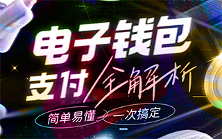 电子钱包支付全解析